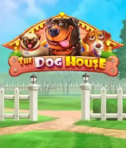 From Pragmatic Play comes The Dog House, offering a delightful experience into the world of lovable dogs. Engage in gameplay elements such as free spins, designed for delivering joyful moments. A must-try for animal enthusiasts a lighthearted setting with a chance for big wins.