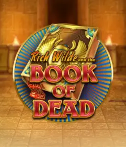 Dive into the thrilling world of Book of Dead by Play'n GO, showcasing vivid graphics of Rich Wilde's journey through ancient Egyptian tombs and artifacts. Uncover lost riches with exciting mechanics like free spins, expanding symbols, and a gamble option. Ideal for adventure seekers with a desire for exciting finds.